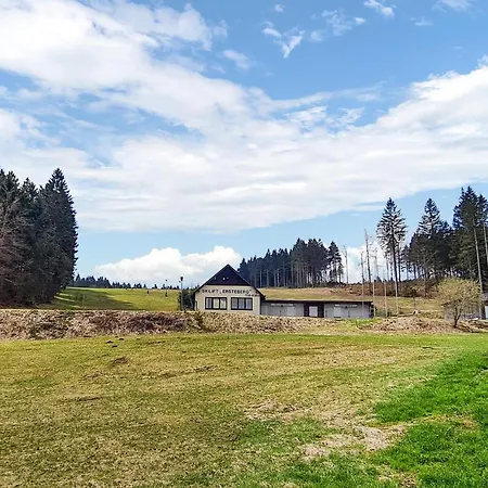 Pet Friendly In Masserberg With Wifi Holiday home Fehrenbach